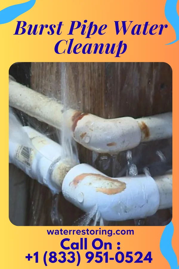Burst Pipe Water Cleanup in Centerview, MO