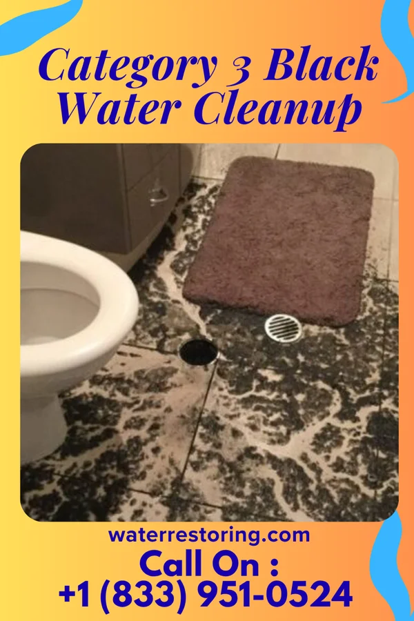 Category 3 Black Water Cleanup in Centerview, MO