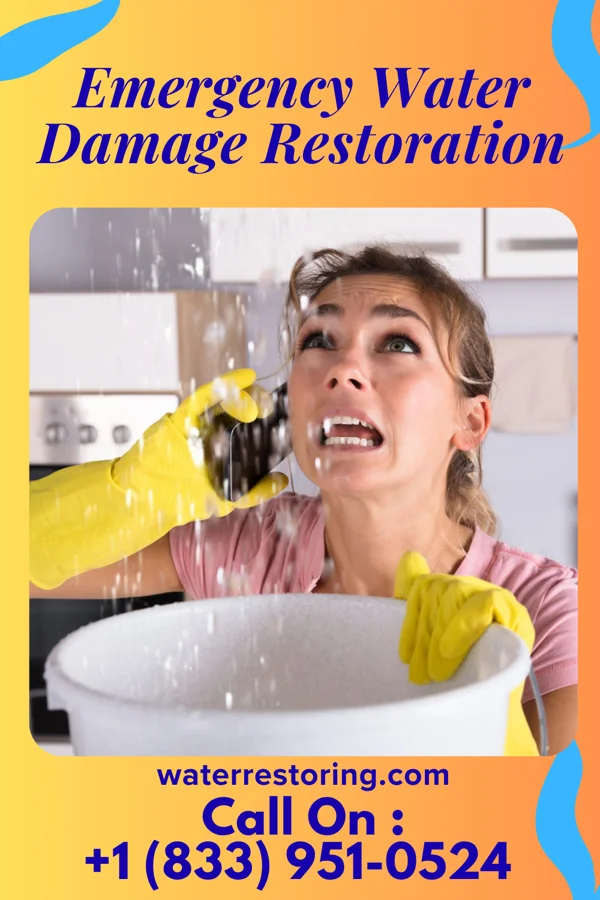Emergency Water Damage Restoration in Centerview, MO