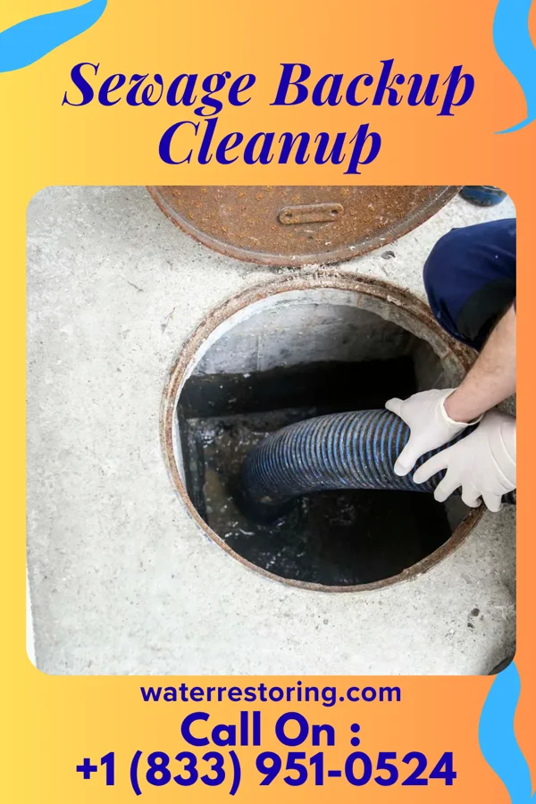 Sewage Backup Cleanup in Centerview, MO