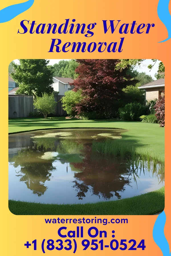 Standing Water Removal in Centerview, MO